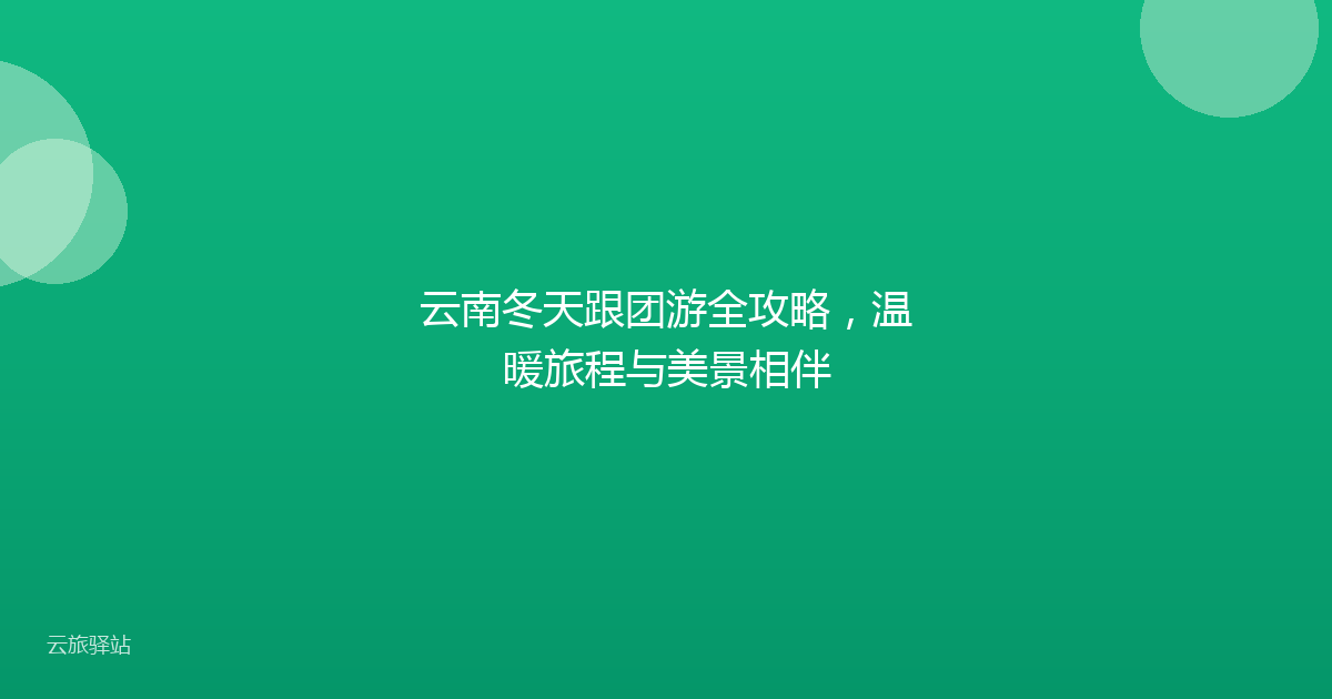 云南冬天跟团游全攻略,温暖旅程与美景相伴