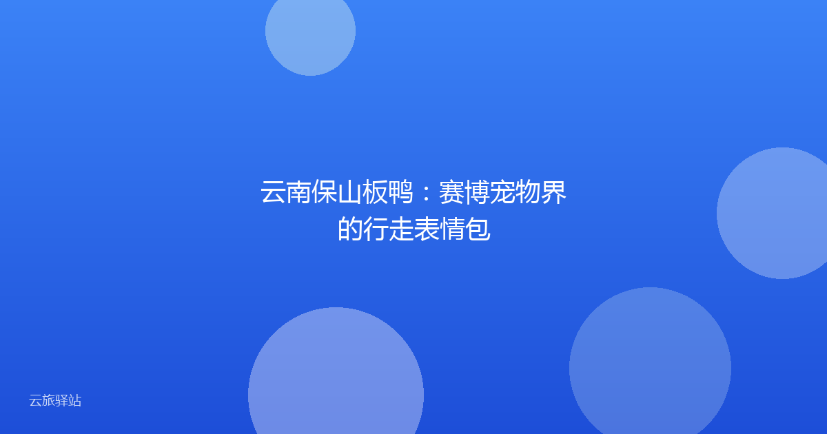 云南保山板鸭:赛博宠物界的行走表情包