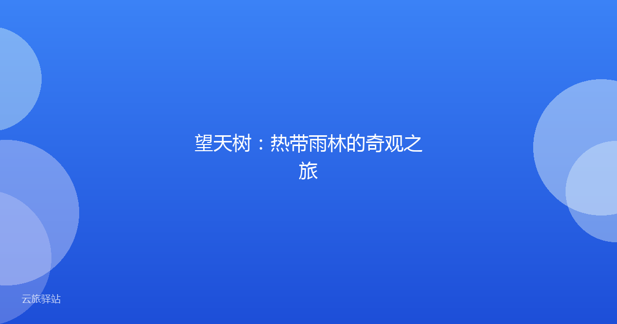 望天树:热带雨林的奇观之旅