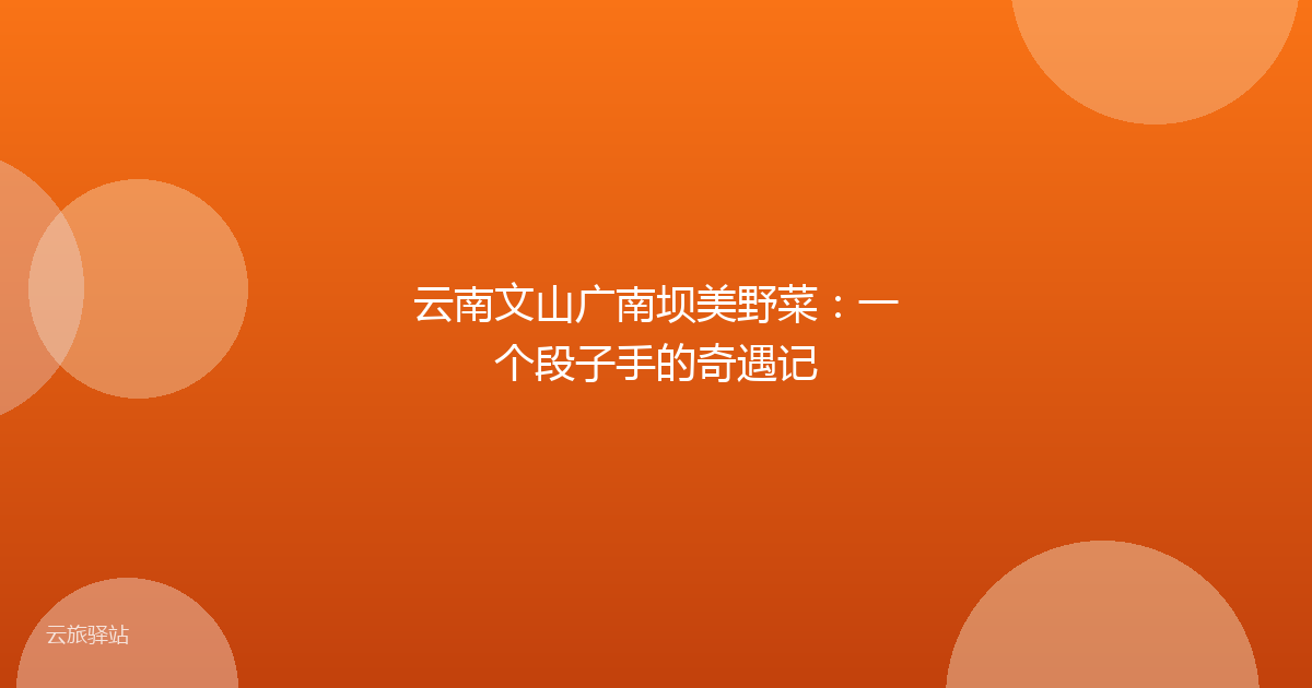 云南文山广南坝美野菜:一个段子手的奇遇记