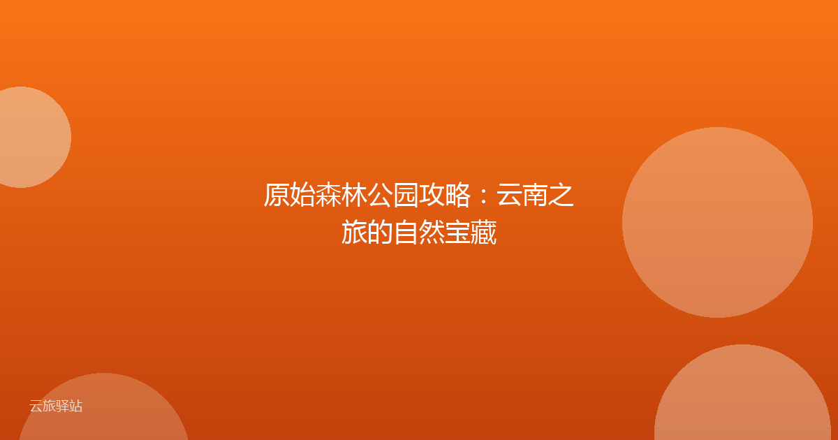 原始森林公园攻略：云南之旅的自然宝藏