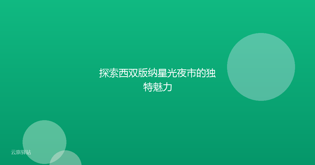 探索西双版纳星光夜市的独特魅力